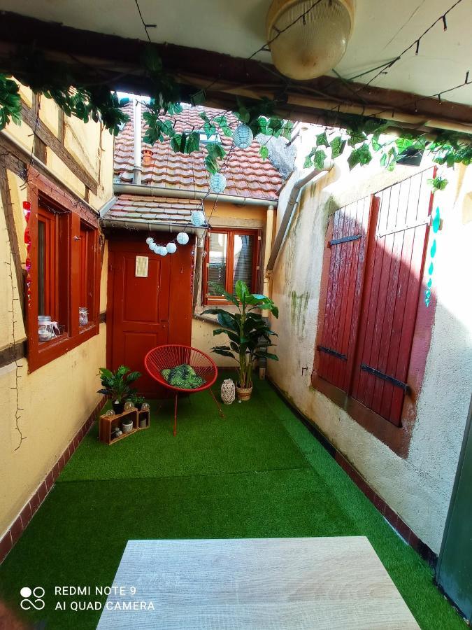 Happy Petite Venise Apartment Colmar Exterior photo